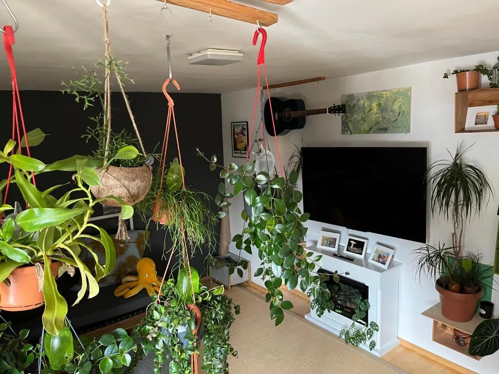 Image of Beautiful and peaceful apartment in the heart of Munich