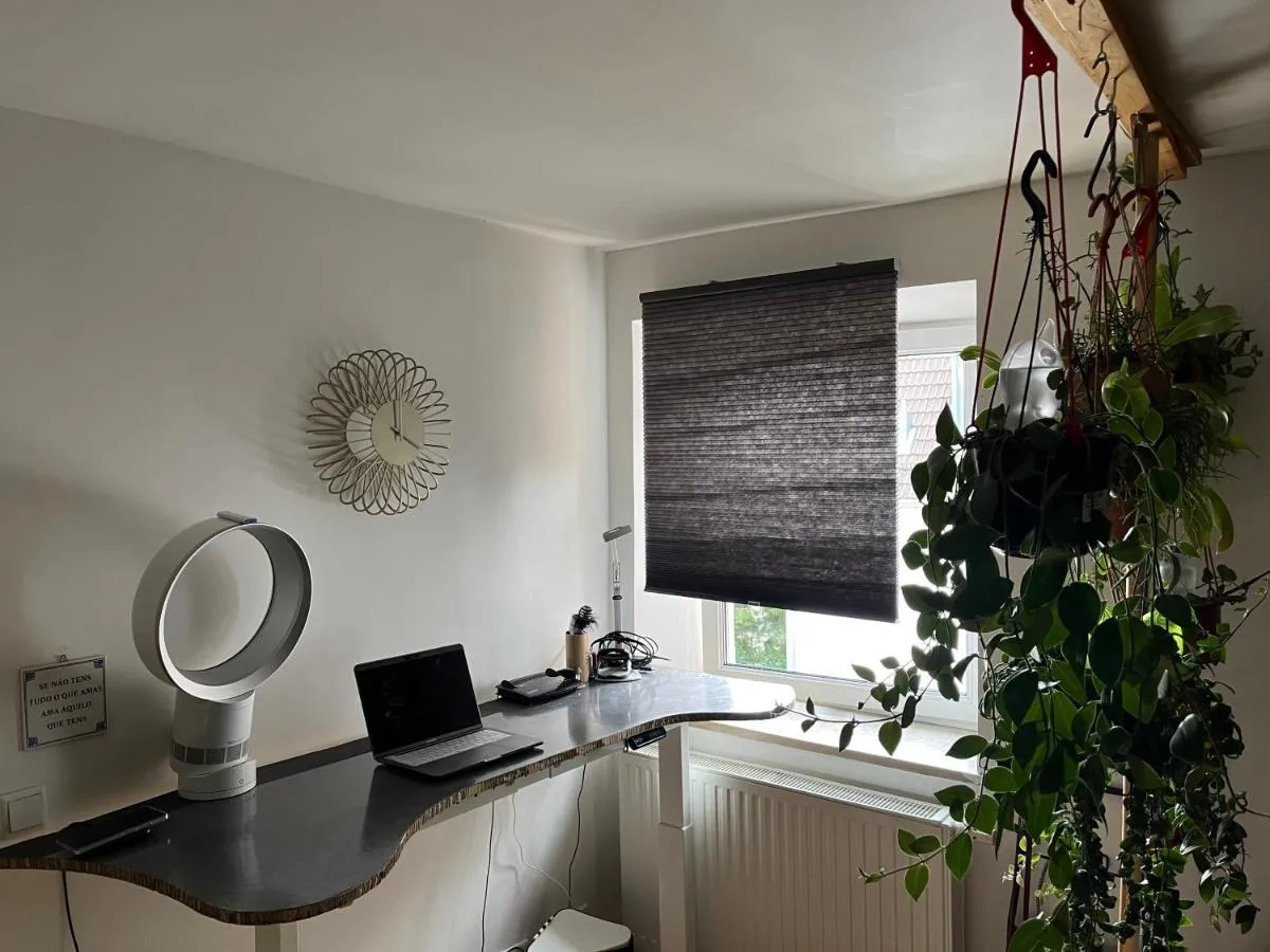 Image 1 of Beautiful and peaceful apartment in the heart of Munich